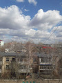 когда уже всё зазеленеет???