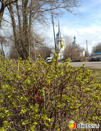 78 фото: Разное