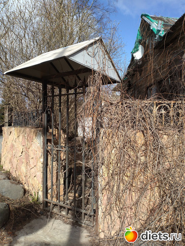 79 ����: ������