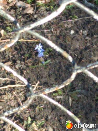 80 ����: ������