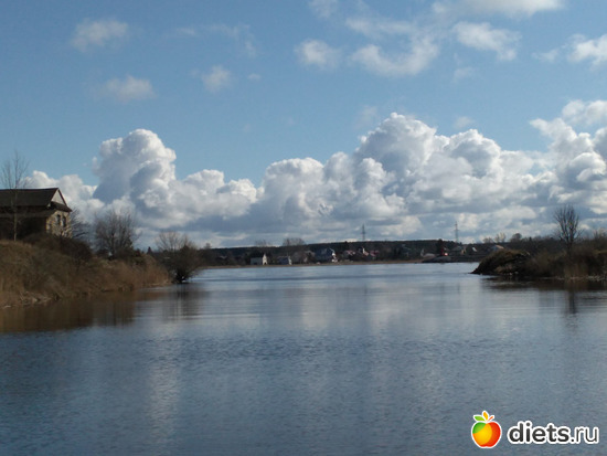 81 ����: ������