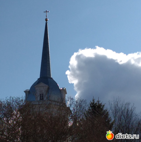 82 ����: ������