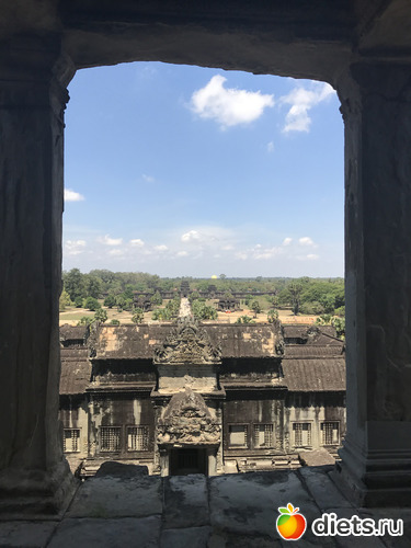 425 ����: ������ 2017. ��������