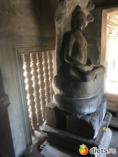 428 ����: ������ 2017. ��������