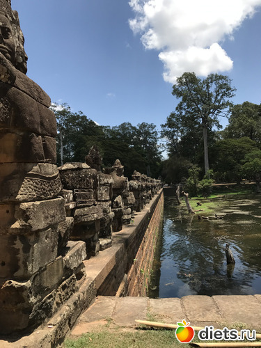 464 ����: ������ 2017. ��������