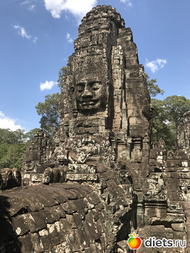 512 ����: ������ 2017. ��������