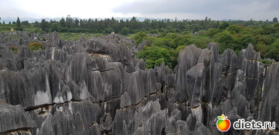 76 фото: Китай. Сентябрь 2019. 55-й день рождения