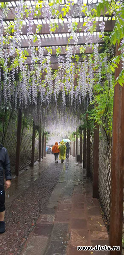 90 фото: Китай. Сентябрь 2019. 55-й день рождения