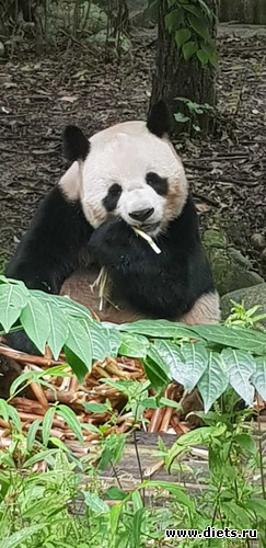 93 фото: Китай. Сентябрь 2019. 55-й день рождения