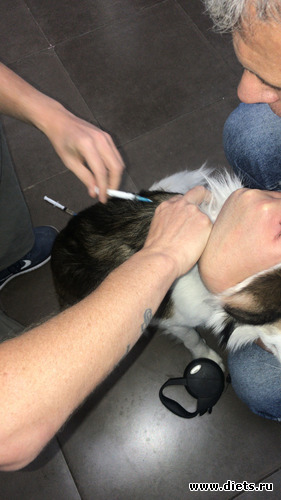 98 фото: Китай. Сентябрь 2019. 55-й день рождения