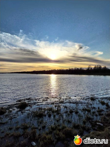 89 ����: ������