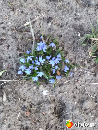 90 ����: ������