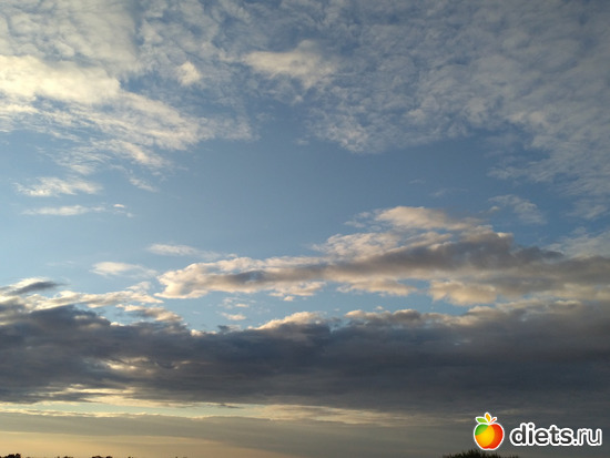 159 ����: ������