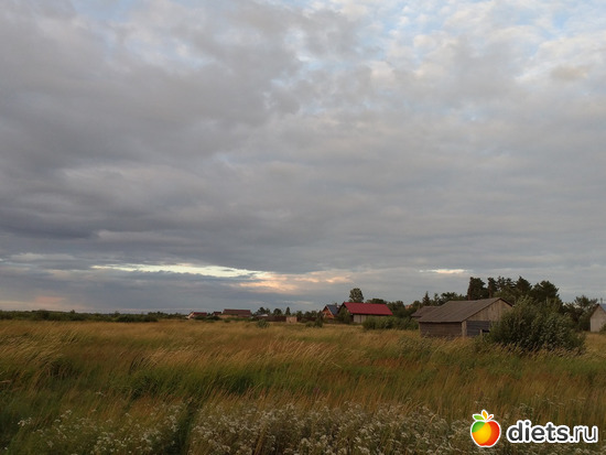 160 ����: ������