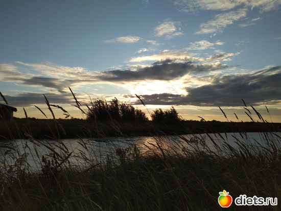 161 ����: ������