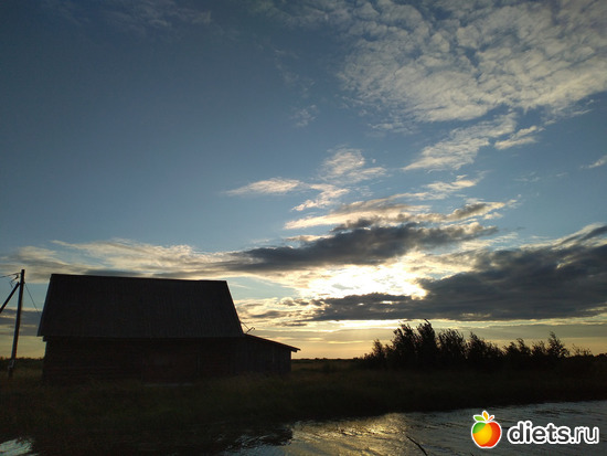 162 ����: ������