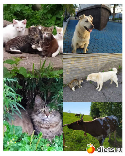 163 ����: ������