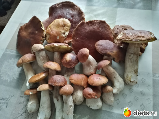 164 ����: ������