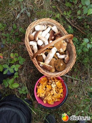 166 ����: ������