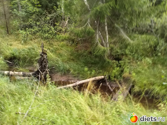 167 ����: ������