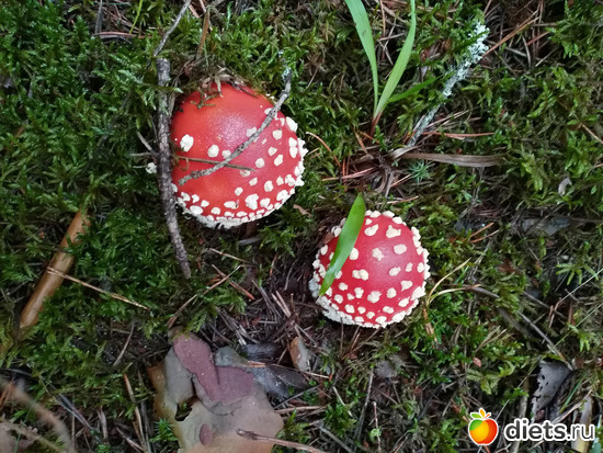 170 ����: ������