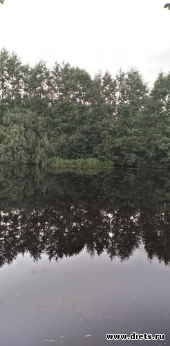 171 ����: ������