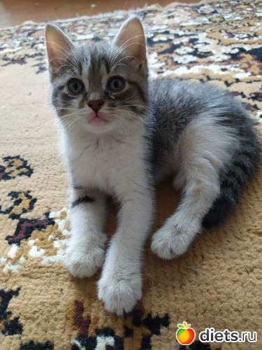 173 ����: ������