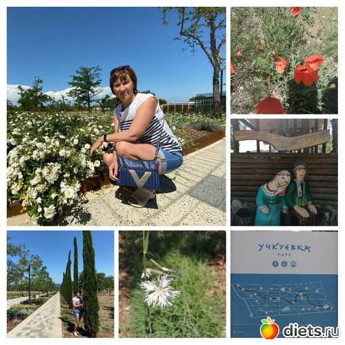 1 ����: ���� - 2020