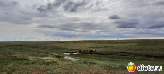 степные пейзажи. коники. хоть картину рисуй, альбом: Лето 20 и 22/ Селетинские каньоны. 22.08.20/14.07.22