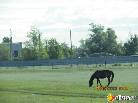 коник и утро, альбом: Лето 20 и 22/ Селетинские каньоны. 22.08.20/14.07.22