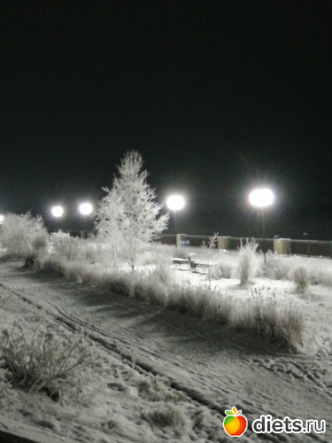 3 фото: Пришла зима - декабрь 2020