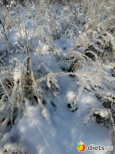 5 фото: Пришла зима - декабрь 2020