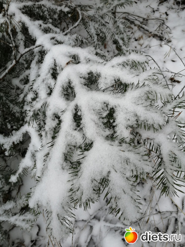 7 фото: Пришла зима - декабрь 2020