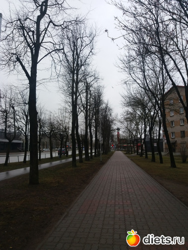 6 фото: Нарва