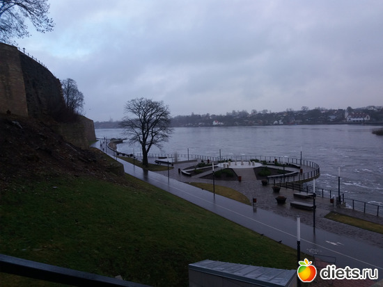 8 фото: Нарва