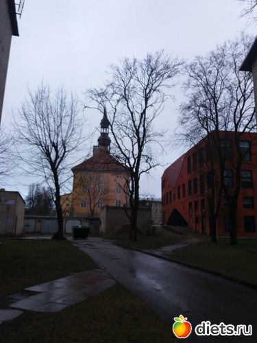 11 фото: Нарва