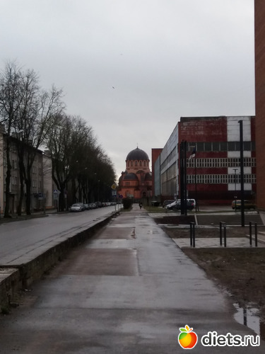 13 фото: Нарва