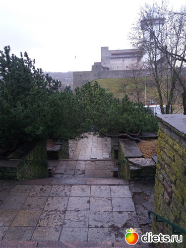 15 фото: Нарва