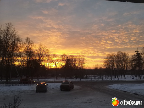 ���� 10 02 20, ������: ������