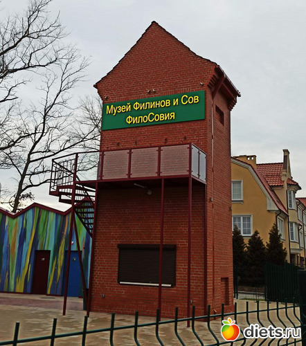 музей сов, альбом: Музей сов