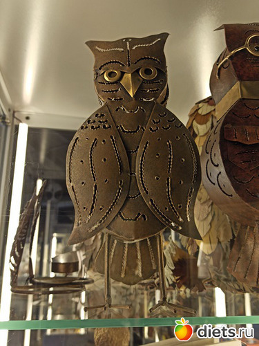 6 фото: Музей сов