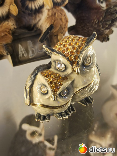 14 фото: Музей сов