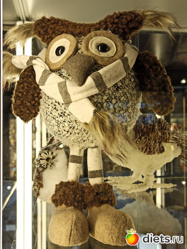 17 фото: Музей сов