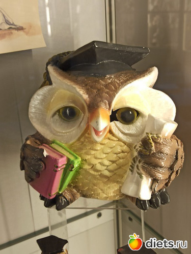 19 фото: Музей сов