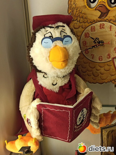 20 фото: Музей сов