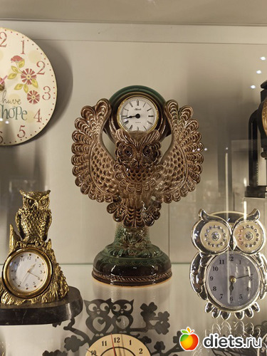 21 фото: Музей сов