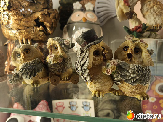 23 фото: Музей сов