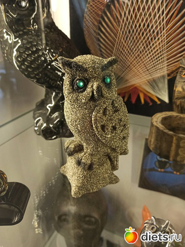 24 фото: Музей сов