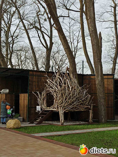 25 фото: Музей сов