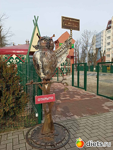 26 фото: Музей сов